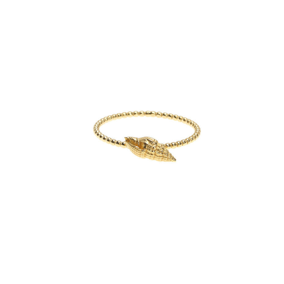 Sound of the Sea Shell ring with beaded band in gold, cast from a real shell.